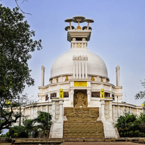 dhauli